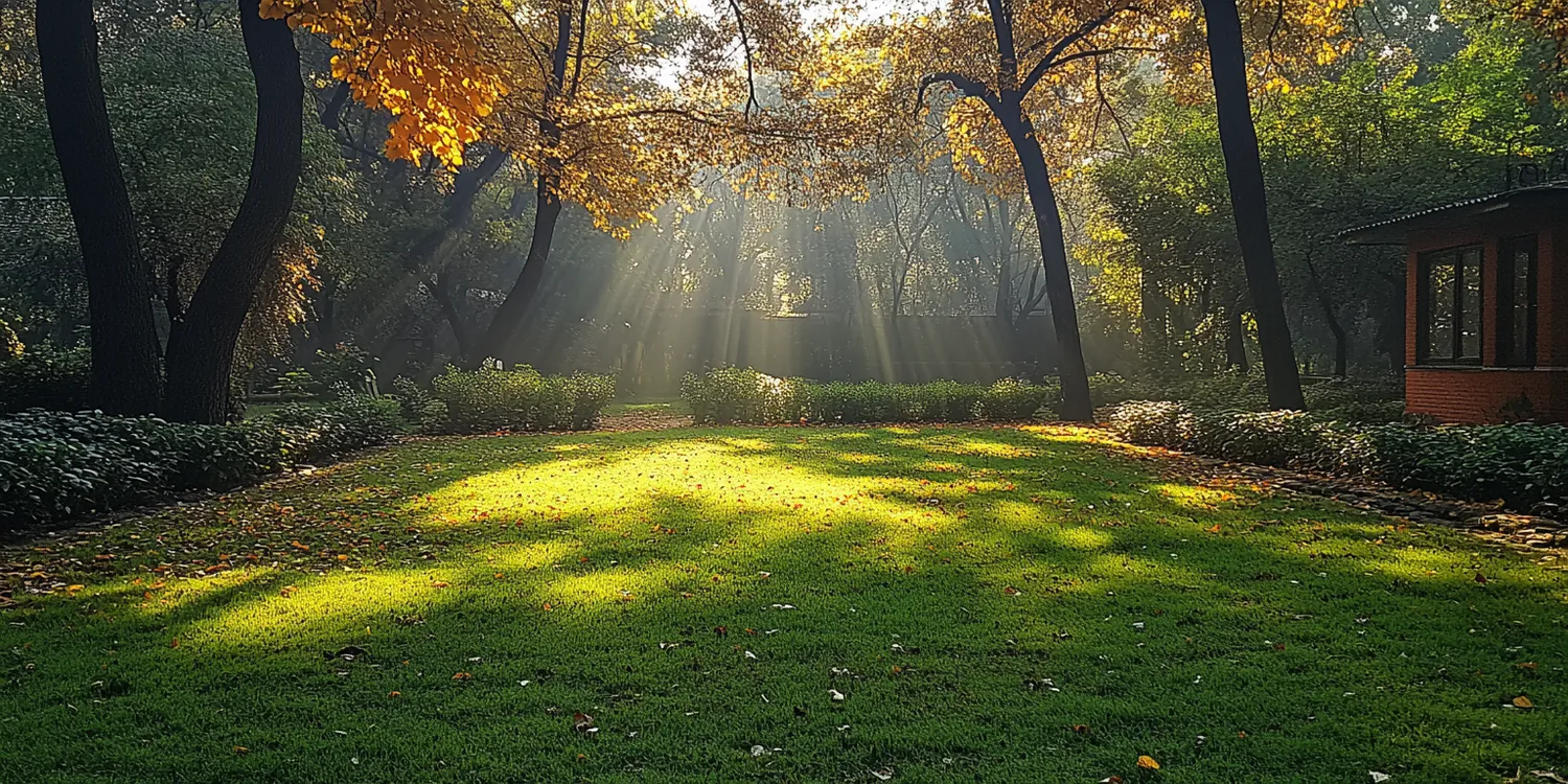 Jaka trawa lepsza z rolki czy siana?