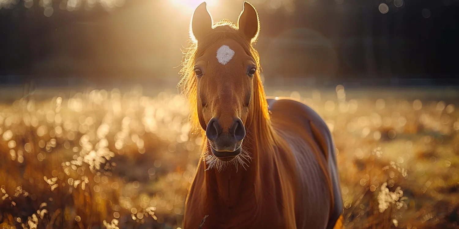 Trawa z rolki gdzie kupić?