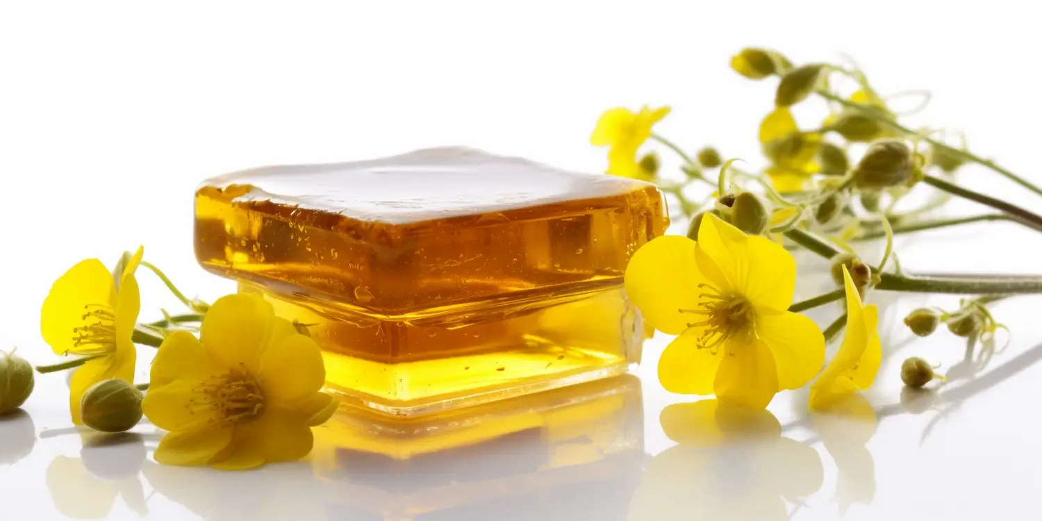 Miód gryczany właściwości zdrowotne