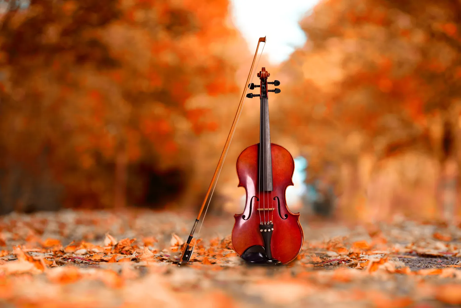 Dlaczego muzyka jest tak ważna w życiu dziecka?