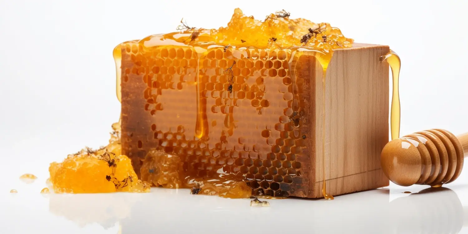 Jak powstaje miód spadziowy?