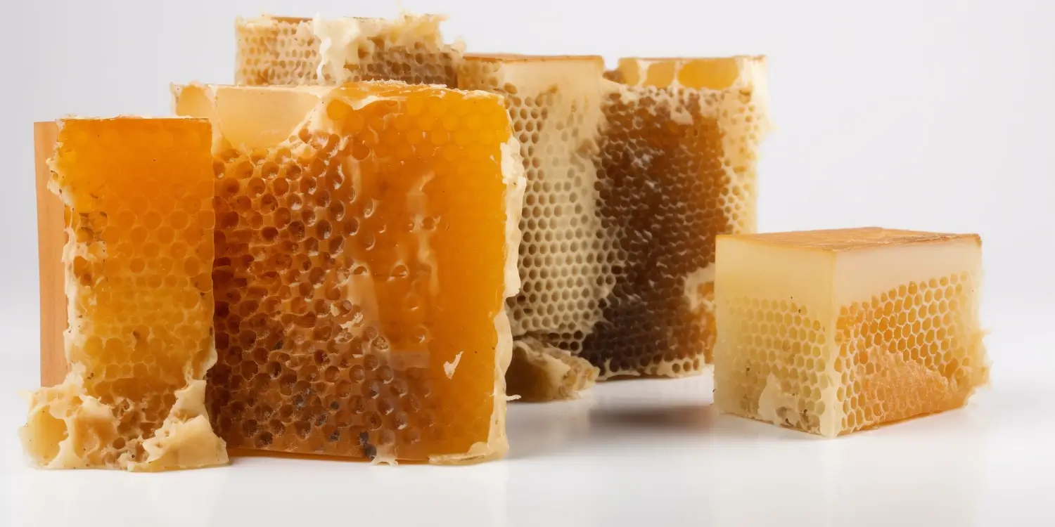 Jak rozpoznać miód lipowy?